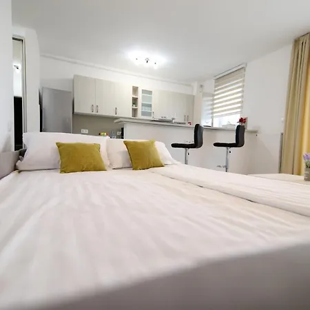 Confort Ale Apartment *