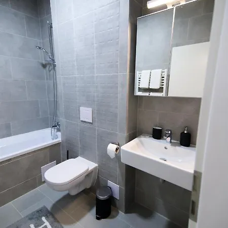 Confort Ale Apartment Brasov